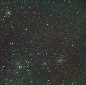 Tom 09 Spider en Fly nevel